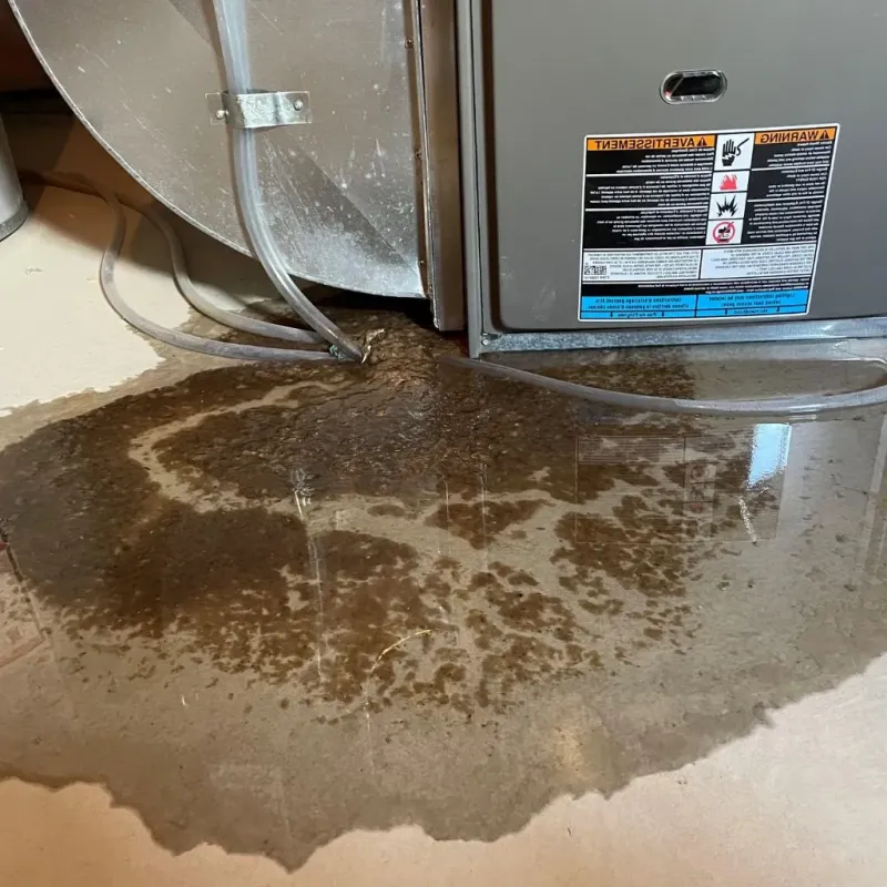 Pipe Burst and Leak Restoration in Haskell, TX
